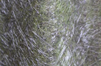 Gossards Green fibreglass roof work