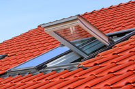 Gossards Green roof window